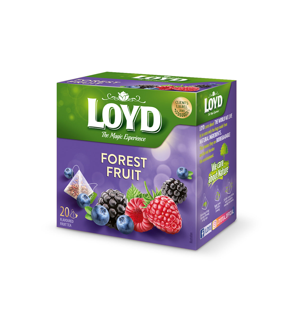 Loyd Forest Fruit Infusion Tea, 20TB Marvel Foods