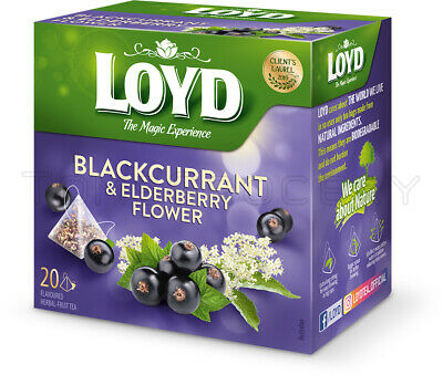 box of Loyd Blackcurrant & Elderberry Flower Herbal-Fruit Tea, 20TB